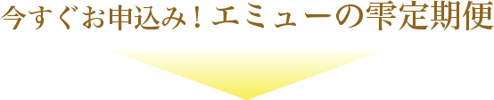 今すぐお申込み！エミューの雫定期便